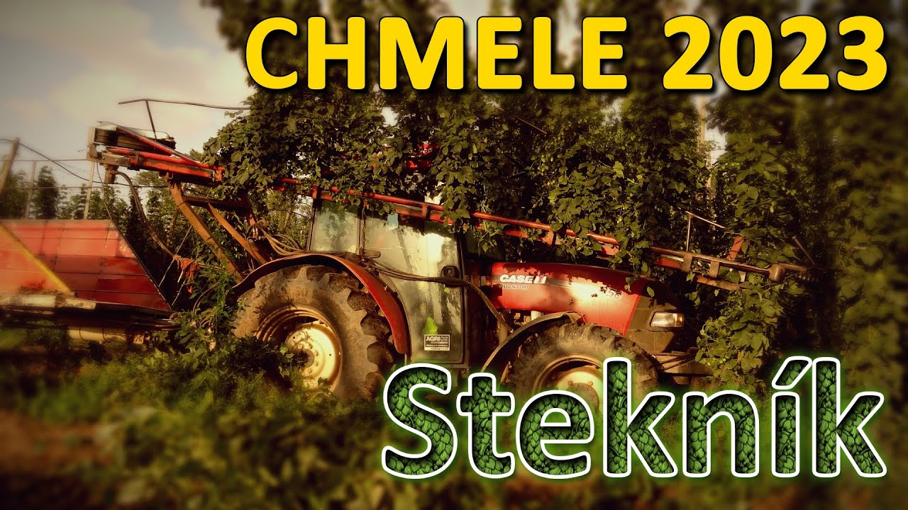 CHMELE 2023 #Stekník // Hopfenernte // Hops harvesting