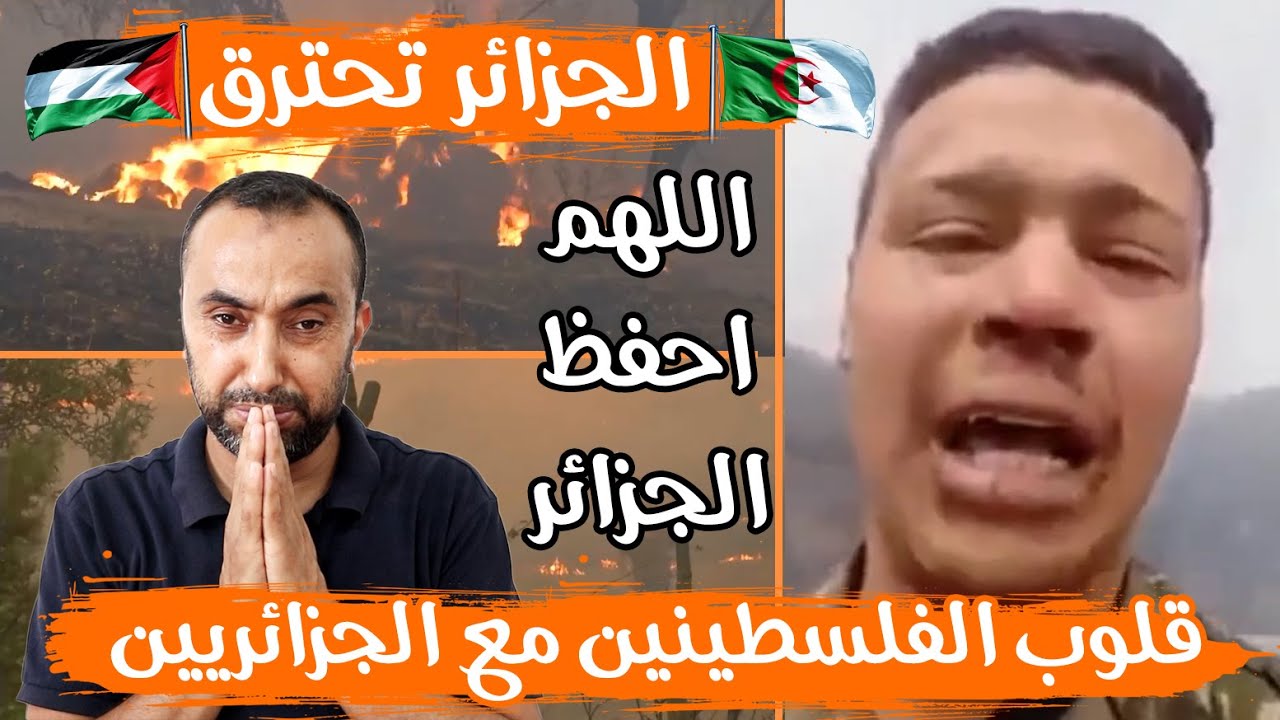 رده فعل فلسطيني 🇵🇸 الجزائر 🇩🇿 تحترق .. جندي جزائري يبكي ويستغيث  وينادي تيزي وزو تحترق يا الله🤲😨