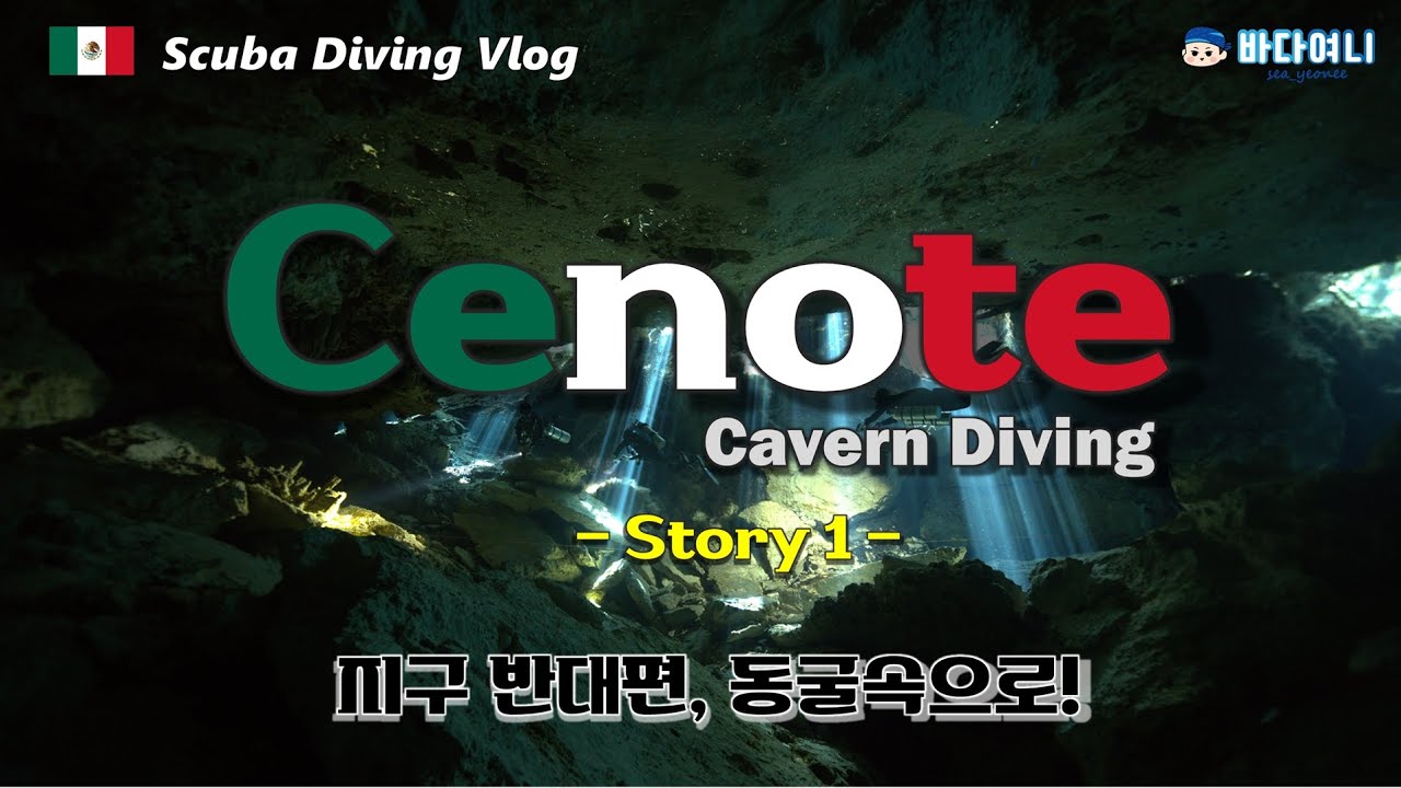 멕시코 세노테 스쿠버다이빙#1 ㅣ 루모스다이브 ㅣ 지구반대편 신비로운 자연속으로ㅣ신혼여행다이빙 ㅣ scuba diving vlog
