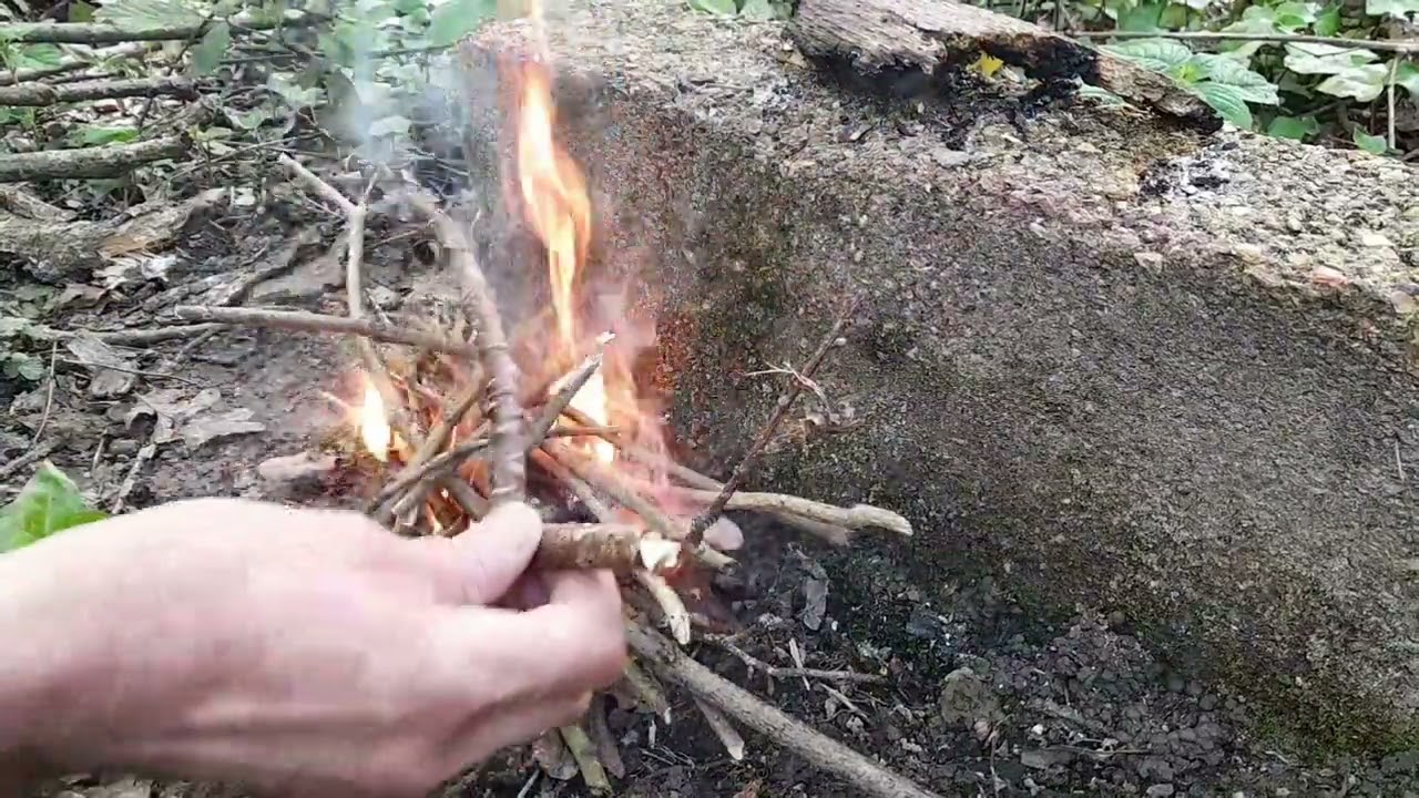 Solo wild hammock camping.