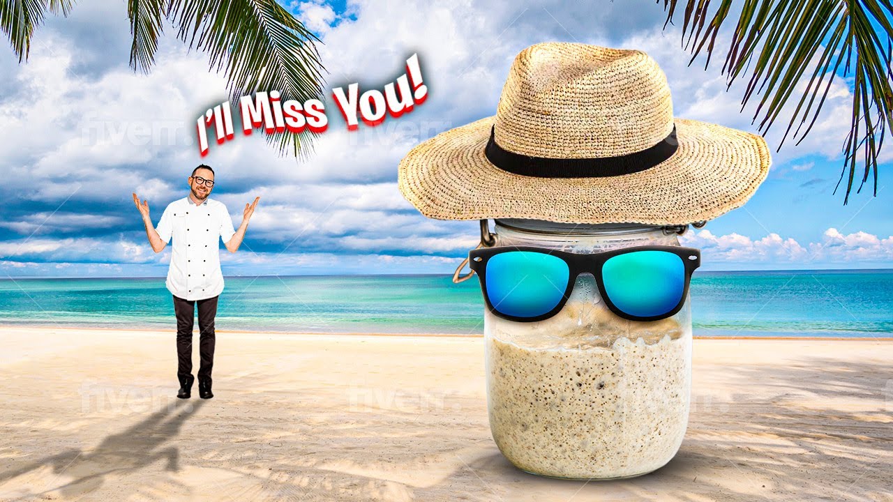 How to Store Your Sourdough Starter While On Vacation AND Revive it!