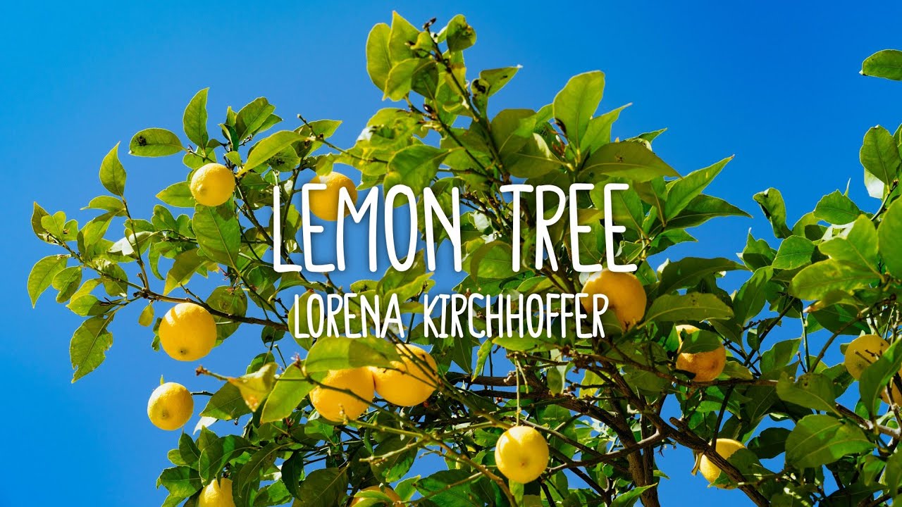 Lorena Kirchhoffer - Lemon Tree (Lyrics)