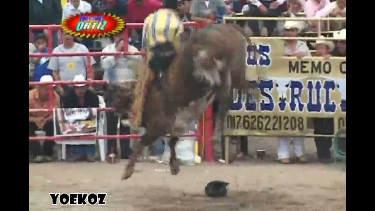 Banda Zirahuen - El Tecolotito (Sones Con Banda)
