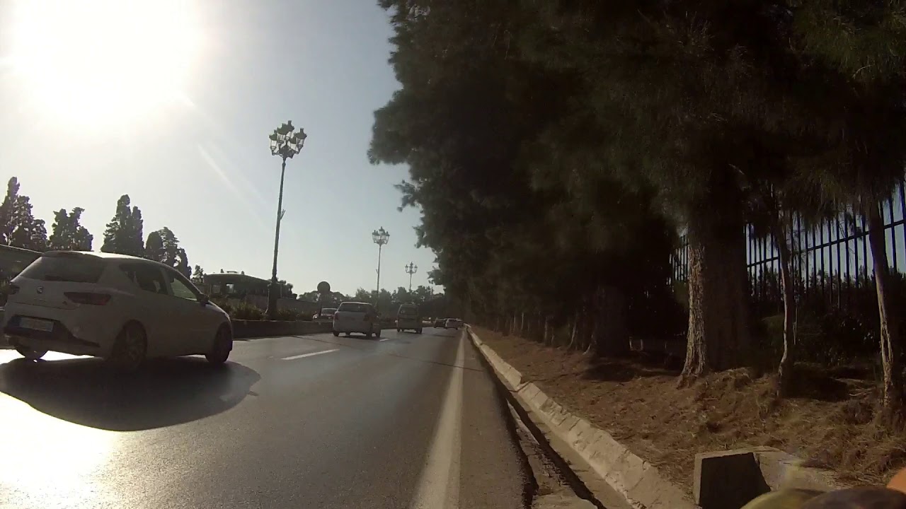sorte  de vilo a foret de bouchaoui
