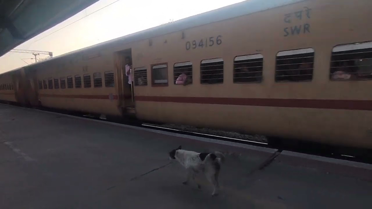 Train love