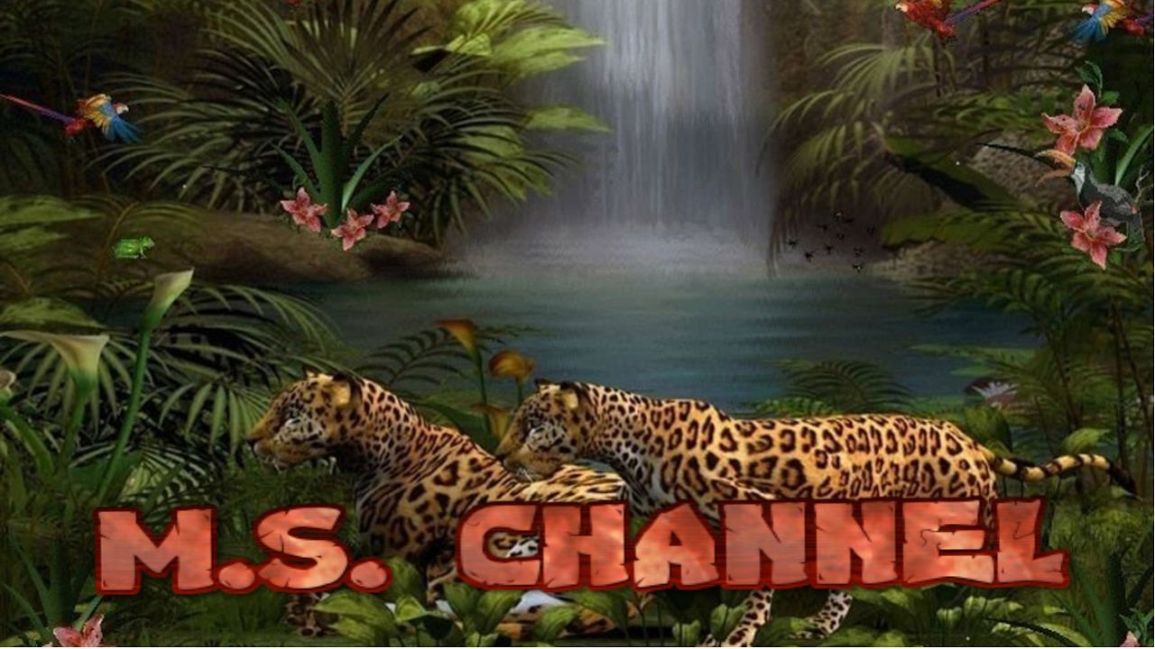 Paul Hardcastle & Marvin Gaye - Rainforest, What's Going On