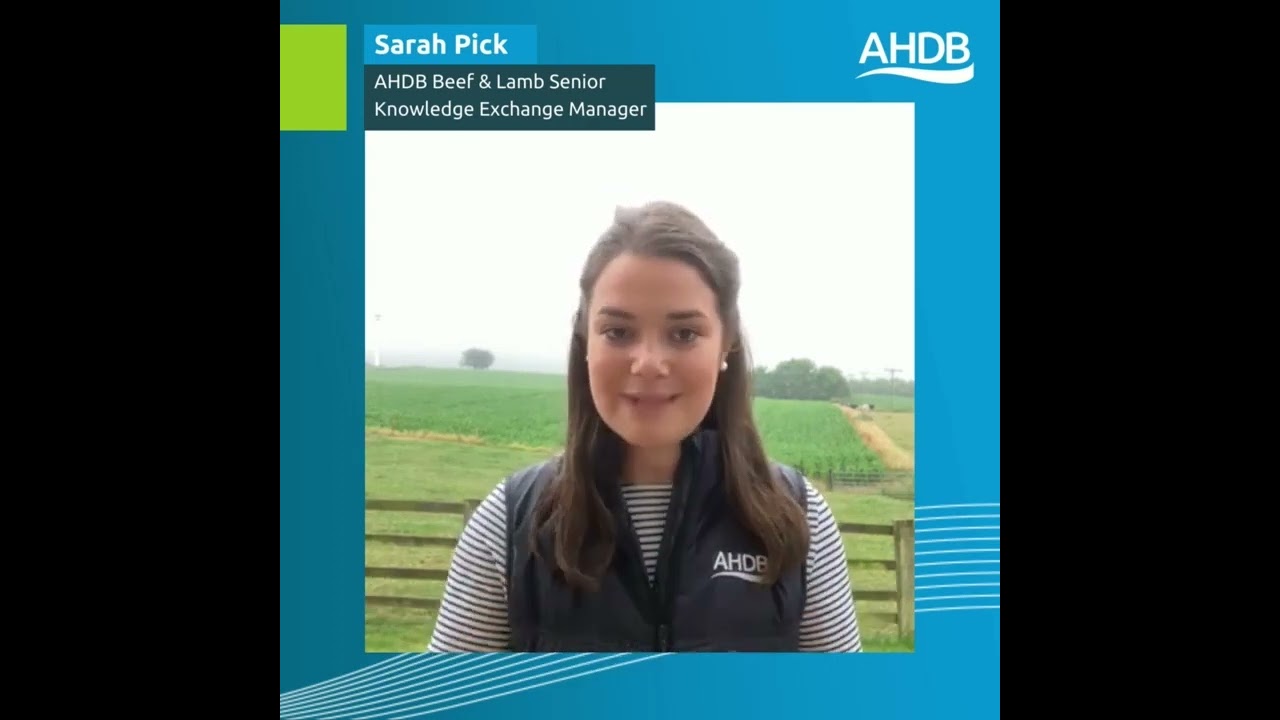 AHDB Maternal Matters stage four launch