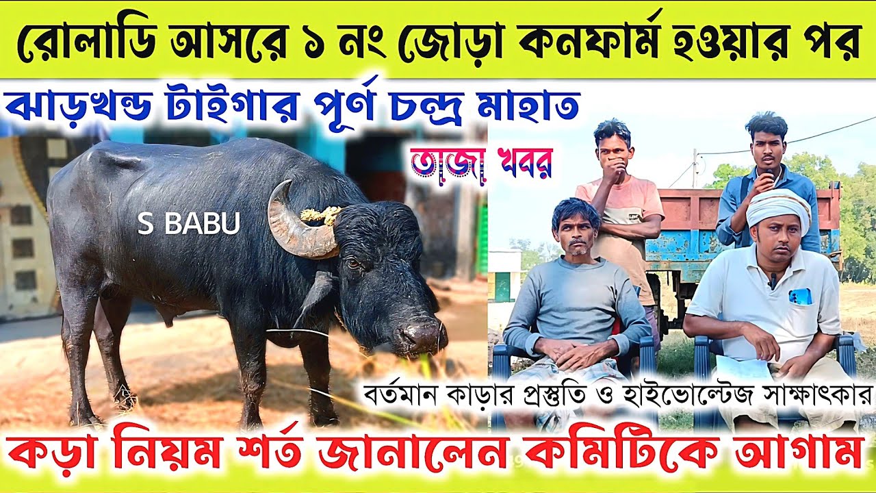 রোলাডি আসরে ১ নং জোড়া কনফার্ম হওয়ার পর👉ঝাড়খন্ড টাইগার পূর্ণ চন্দ্র মাহাত✴️ কড়া নিয়ম শর্ত জানলেন