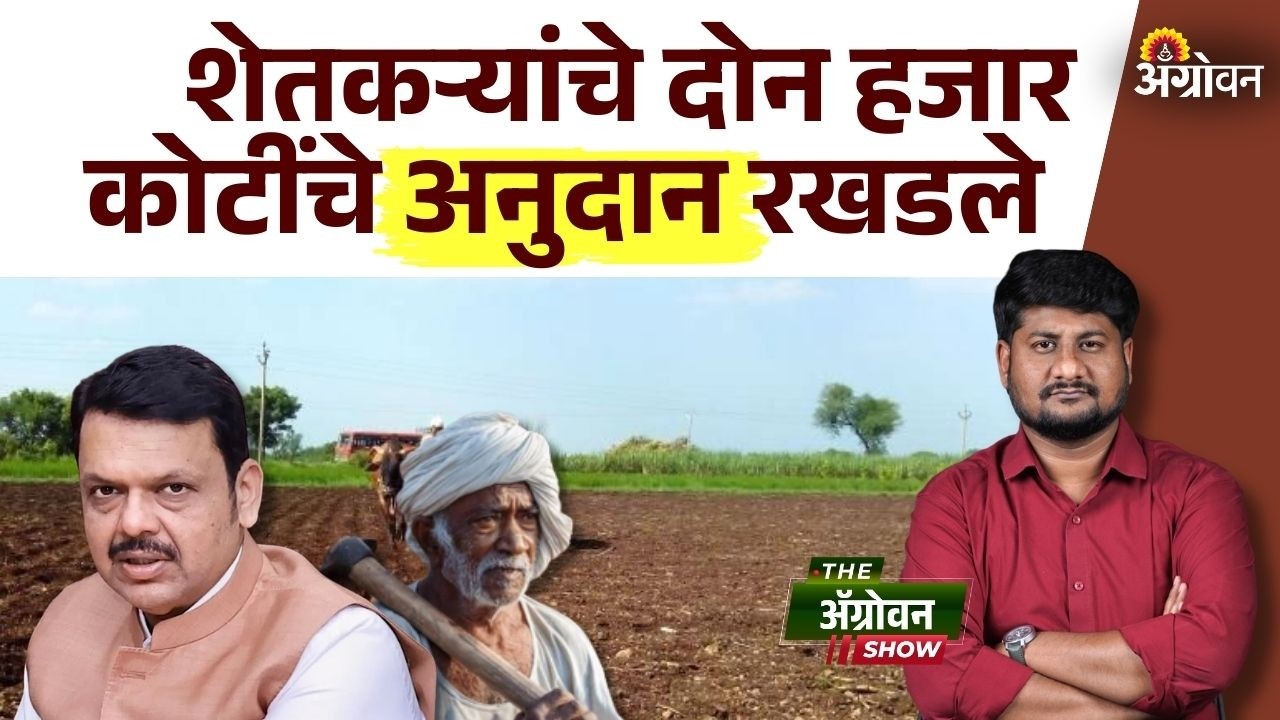 Scheme Subsidy : राज्य सरकार कृषी योजनांसाठी निधी का देत नाही? | Agrowon