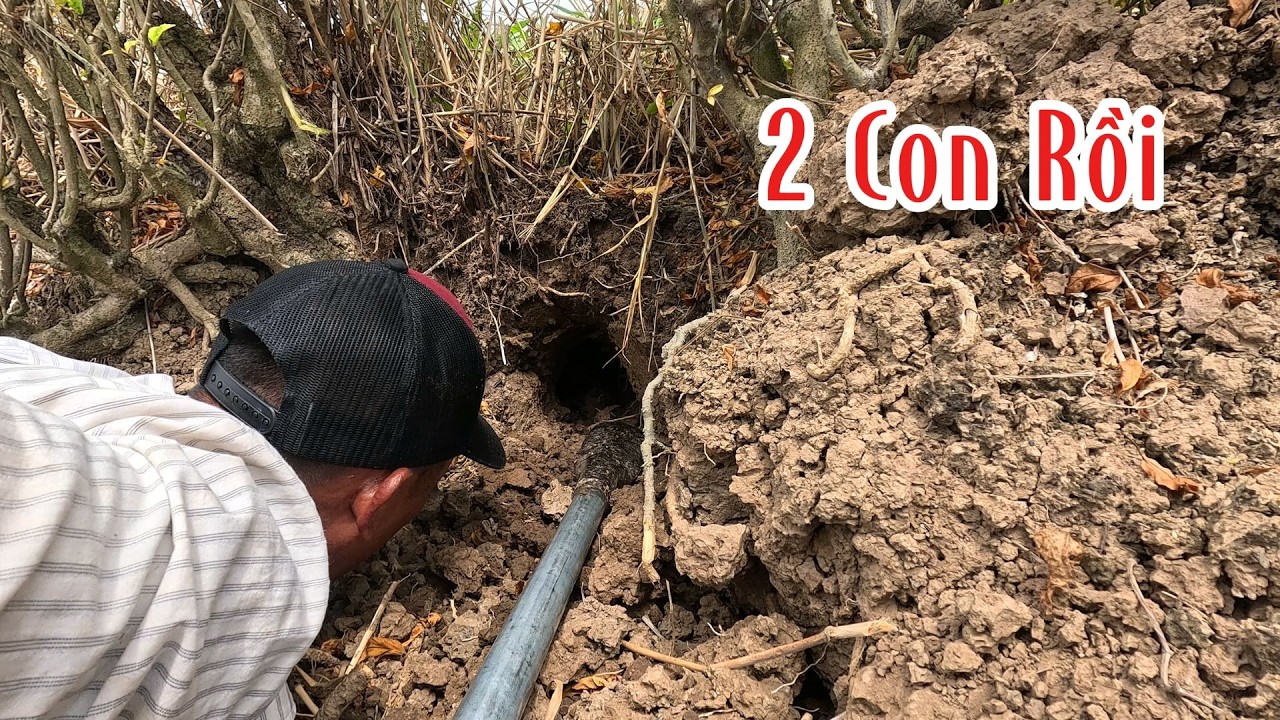 1 Cặp Lu&ocirc;n Tr&uacute;ng M&aacute;nh | Mười Thương SB