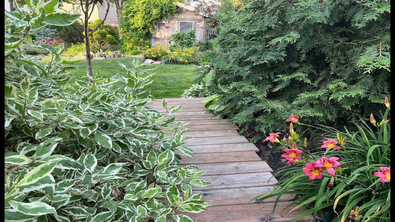 Let's Talk Trees 🌳 🏡 🌲  Part 1