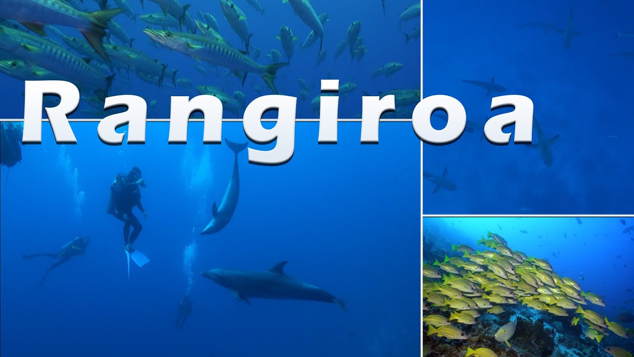 Rangiroa Diving
