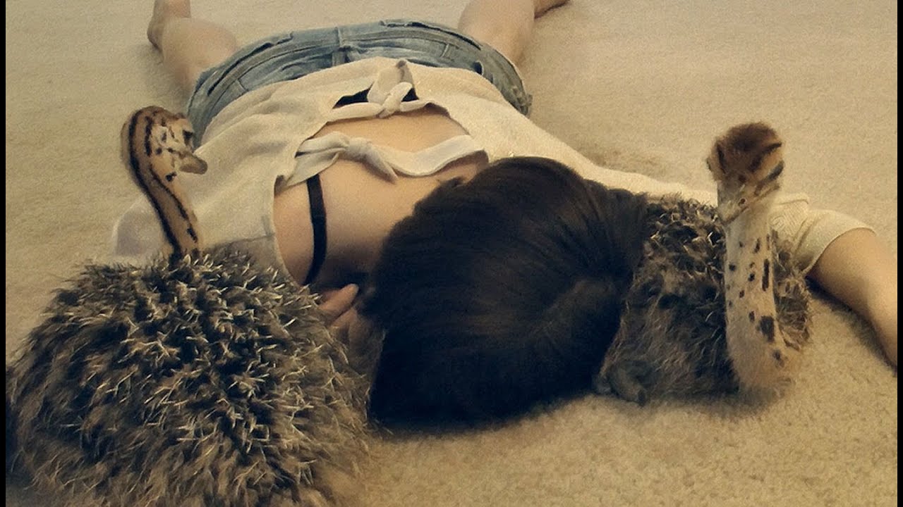 Spend 9 minutes with the ostriches - vlog style!