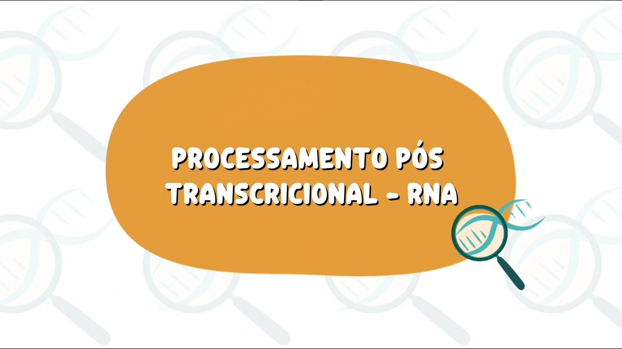 Processamento Pós Transcricional - RNA
