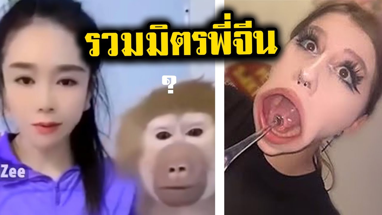 รวมมิตรพี่จีน 27 (พากย์นรก)
