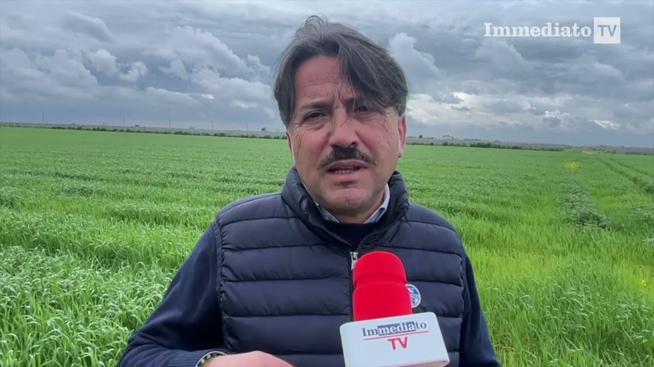 ARTEAGRICOLA, 900 ETTARI DI GRANI ANTICHI NEL CUORE DEL TAVOLIERE