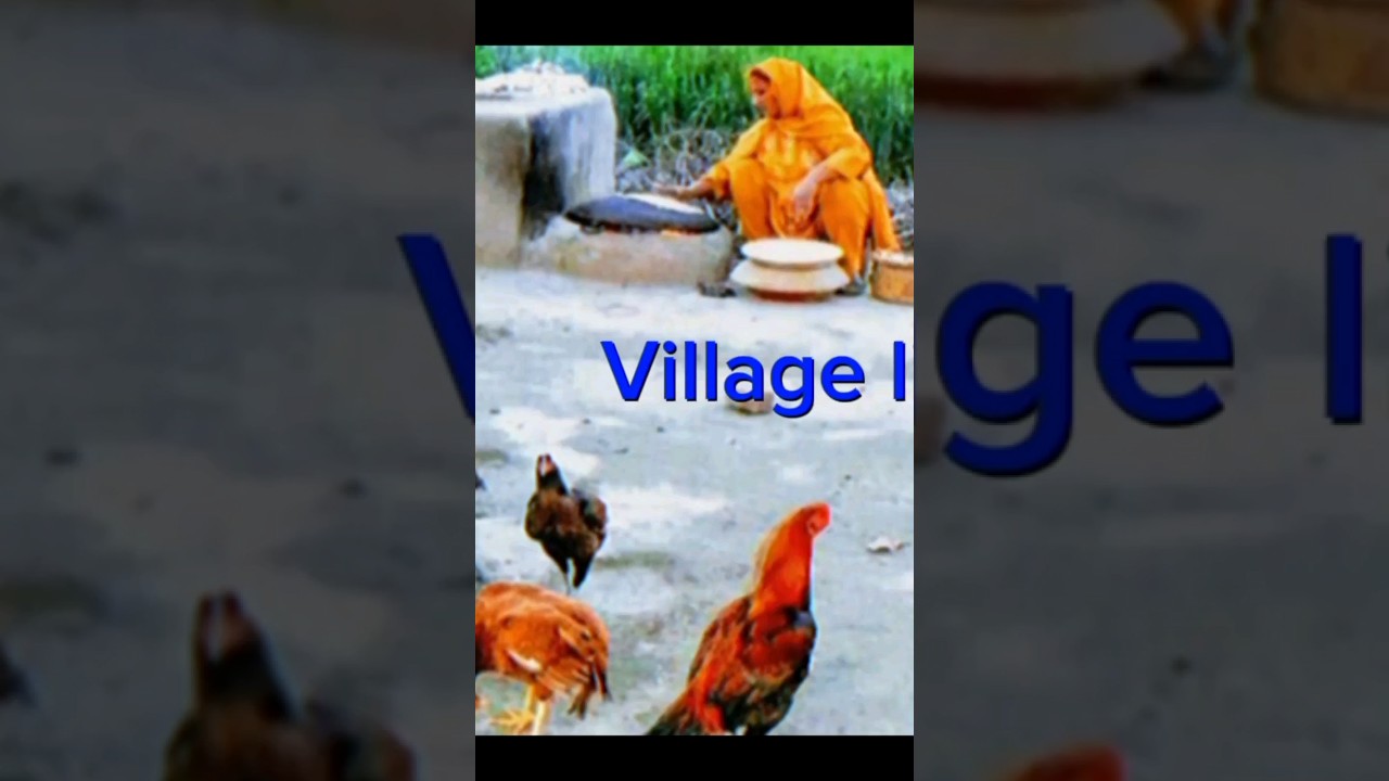 NEELI BAR @Abdul2130 . MAKS TV Production #village #villagelife #viral