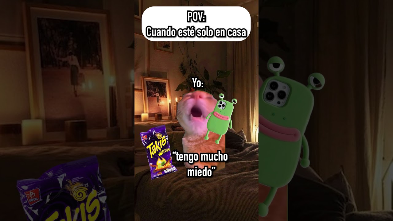 MEME DE GATOS🐱CUANDO ESTÉ SOLO EN CASA 