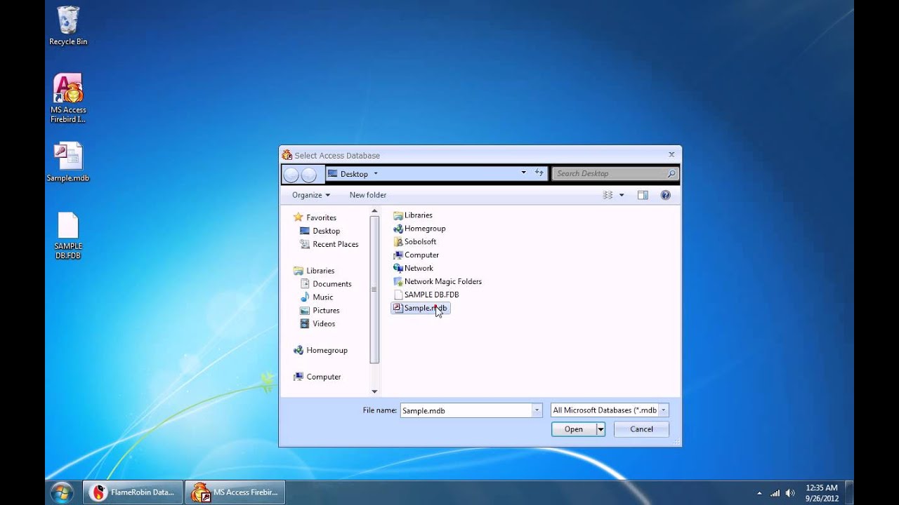 How To Use MS Access Firebird Interbase Import, Export & Convert Software