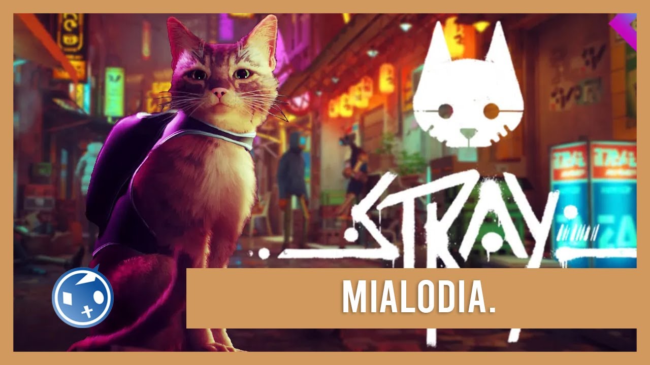 Stray - Trofeo 