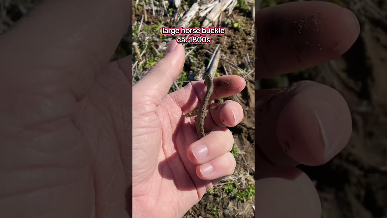 we went metal detecting in the US to find treasure! #metaldetecting #fyp #treasure #detector