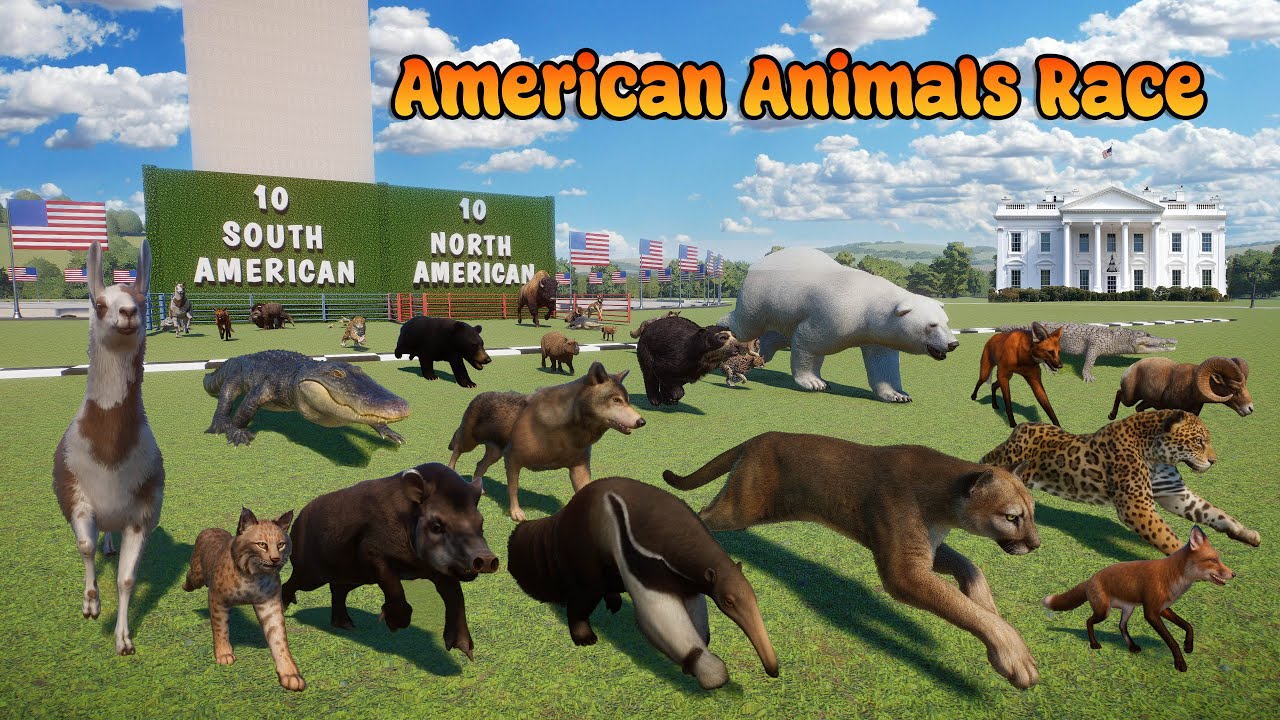 10 South American VS 10 North American Animals Head to Head Animal Race in Planet Zoo National Mall