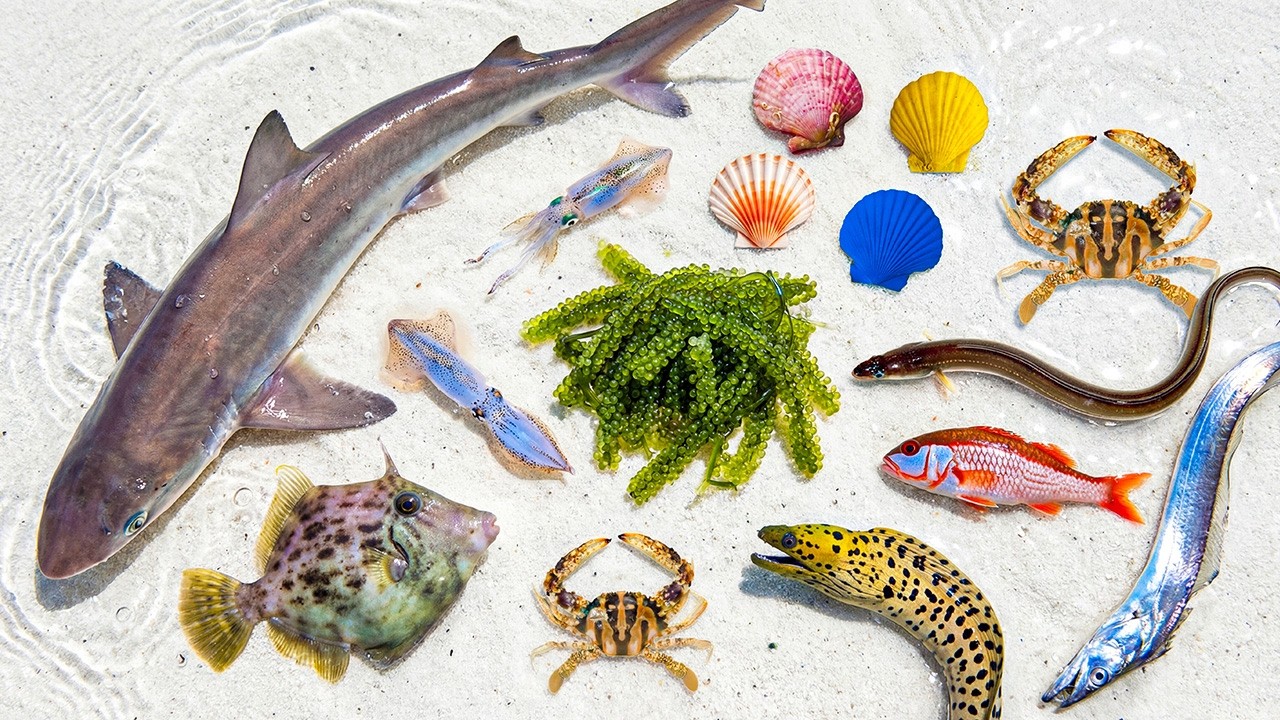 🌊 От акулы 🦈 до угря 🐍 &mdash; этот улов был невероятным