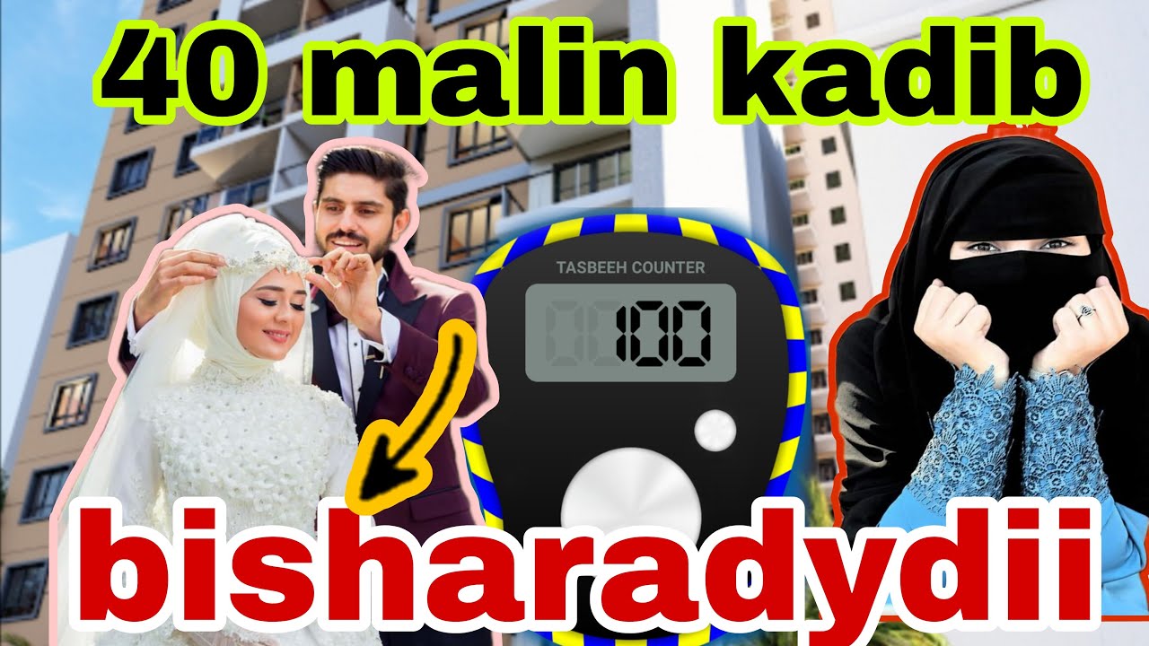qisadydan waxy tusale utahy dad badan o xaladydan so mary waxy jecladan modaya khayr@afnaaneddabsan