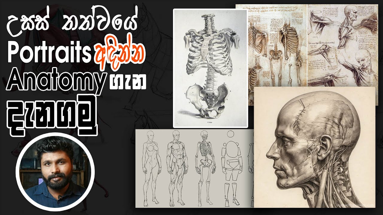 Portraits හරියටම අඳින්න නම් ඉගනගමු Anatomy  | drawing | AL Kalakaraya