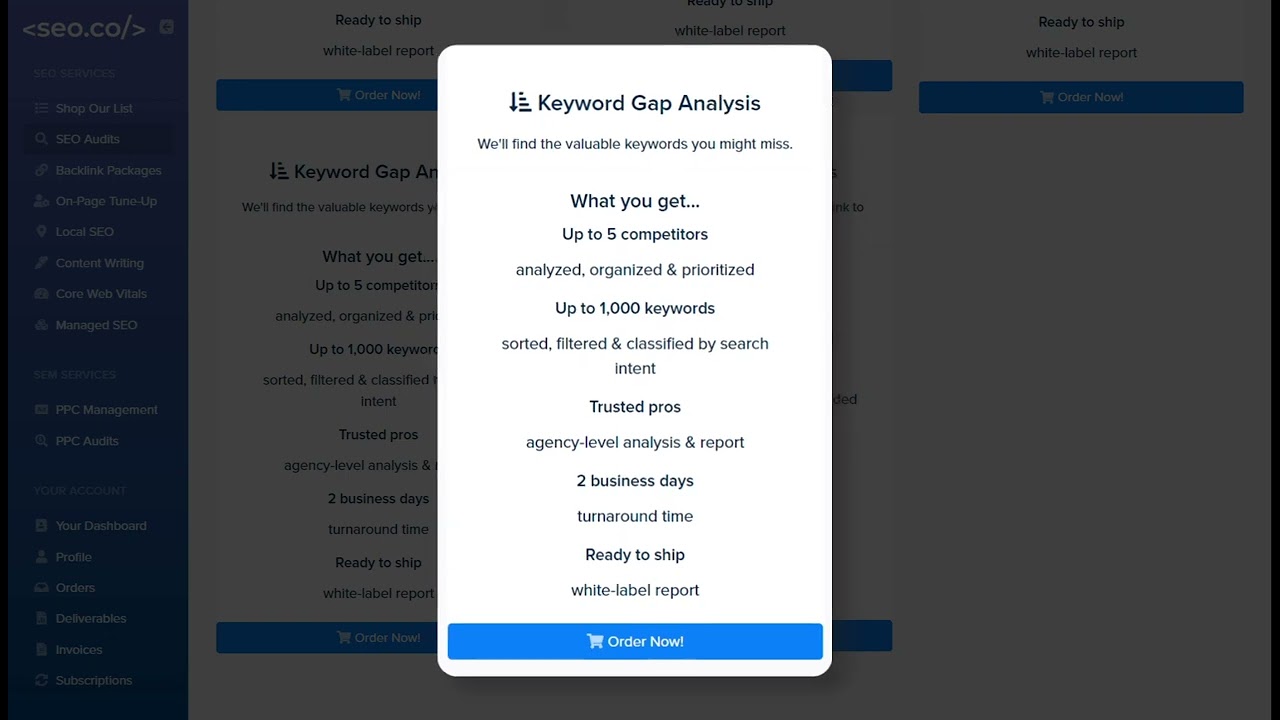 SEO Audit Tutorial Video