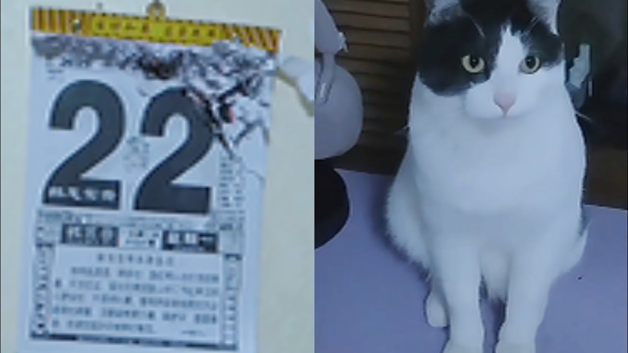 两个小夹子猫咪