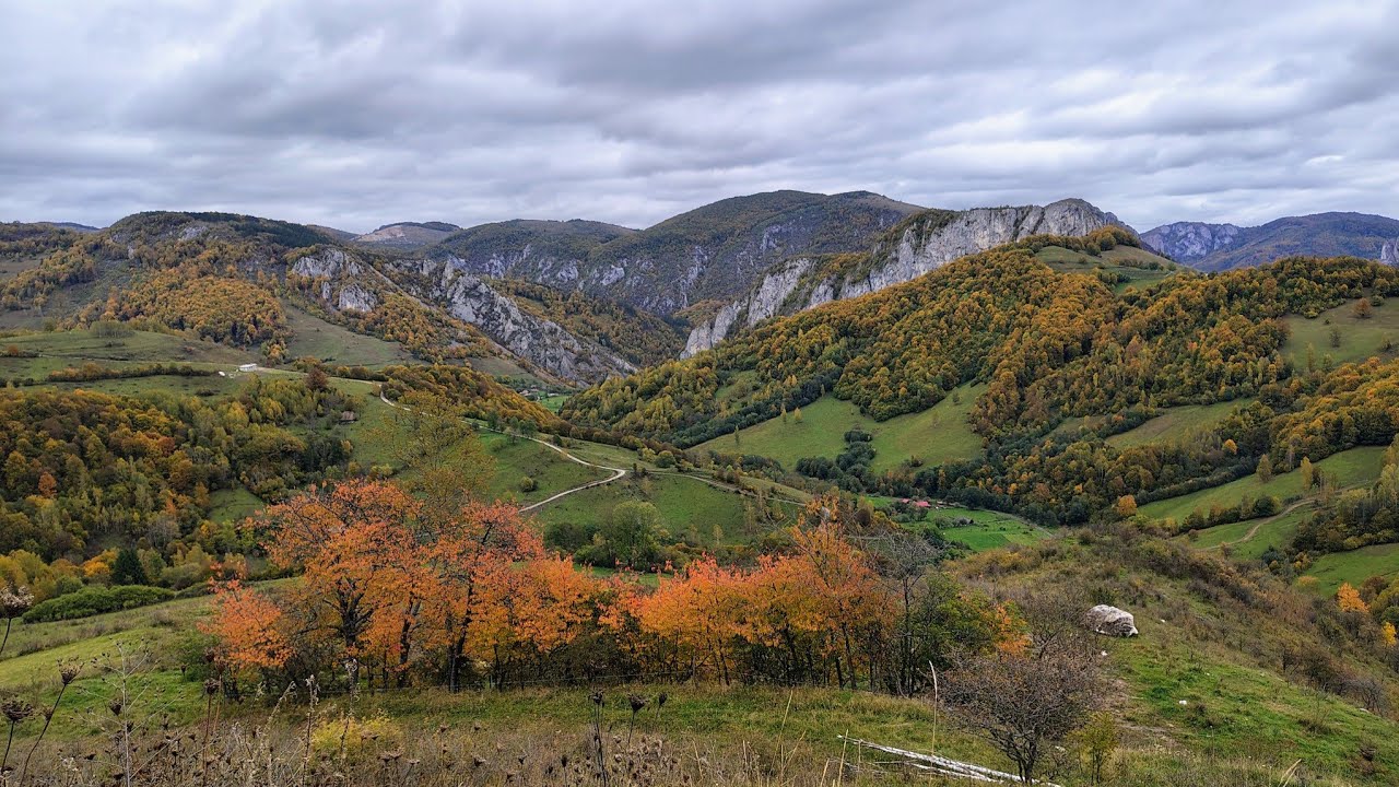 Intregalde/Transapuseana și drumul caselor de paie