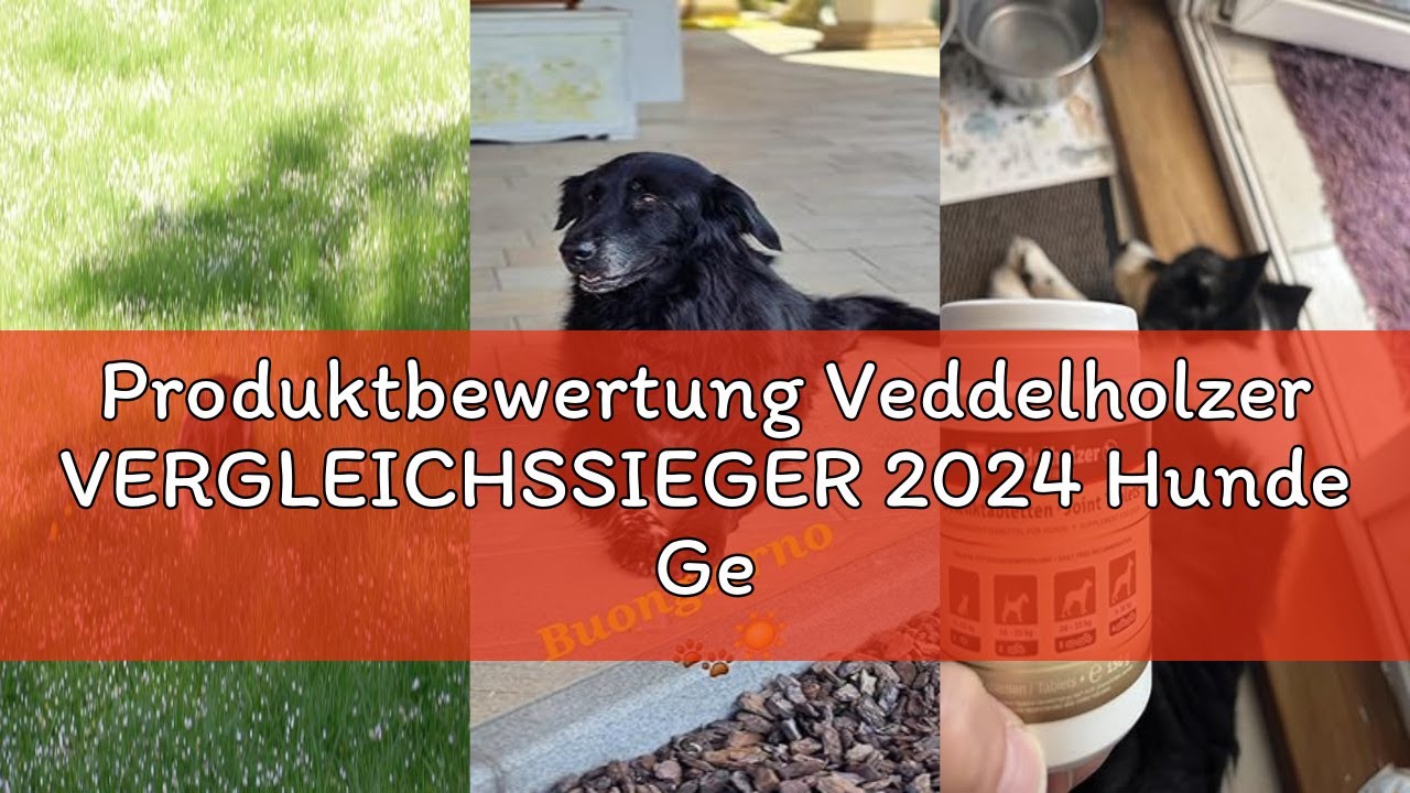 Produktbewertung Veddelholzer VERGLEICHSSIEGER 2024 Hunde Gelenktabletten mit Grünlippmuschel Hund M