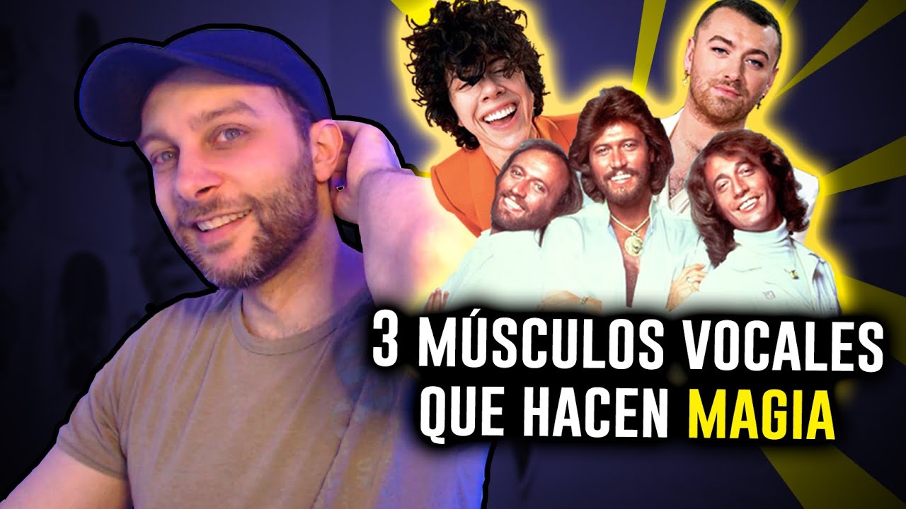 Analizando a LP, SAM SMITH y los BEE GEES | Musculatura de las cuerdas vocales