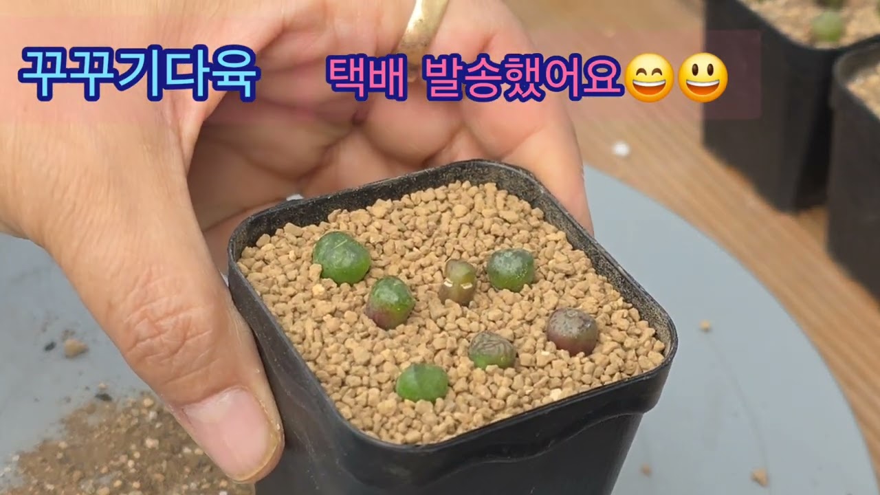 택배 발송 했어요~~~😁😄