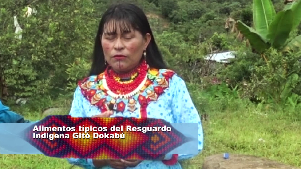 CRONICA ALIMENTACIÓN INDIGENA RESGUARDO GITÓ DOKABÚ