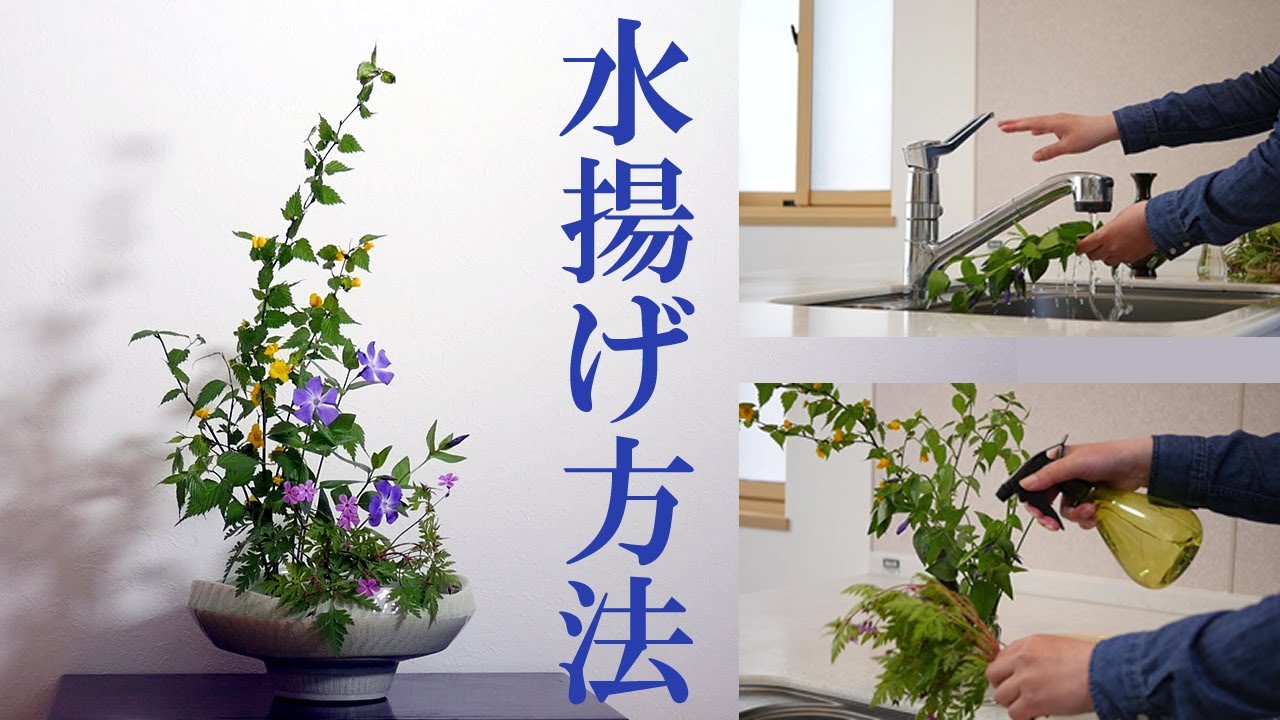 【生け花】水揚げから生けるまで【ikebana】水切り、逆さ水/improve the flower's ability to drink up water/tips/提高花朵喝水的能力/持久花