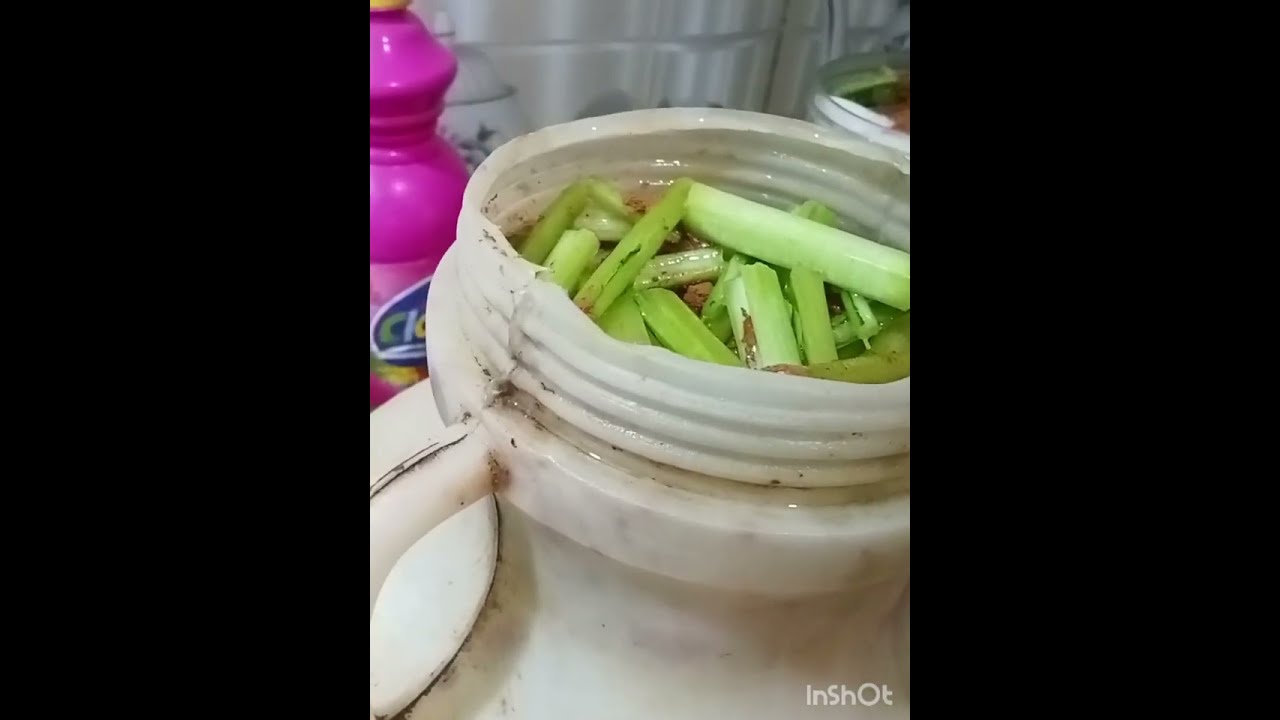 يلا نعمل احلي مخلل عشان رمضان 👍 كل عام وانتم بخير 