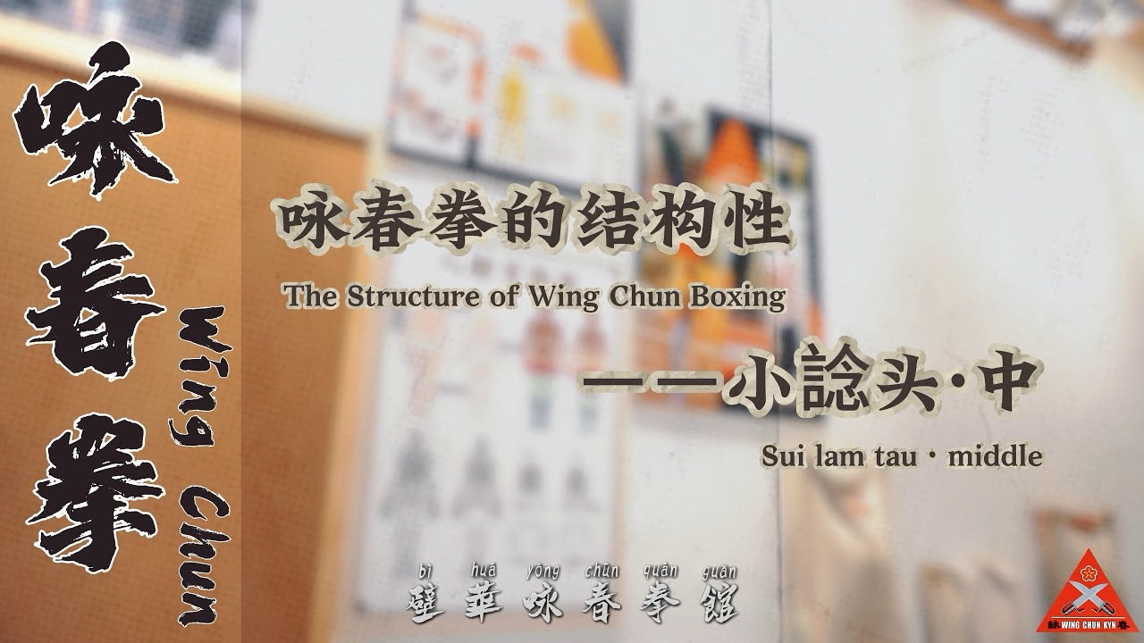 詠春拳的結構性─小念頭 · 中 The Structure of Wing Chun Boxing─Sui lam tau · middle