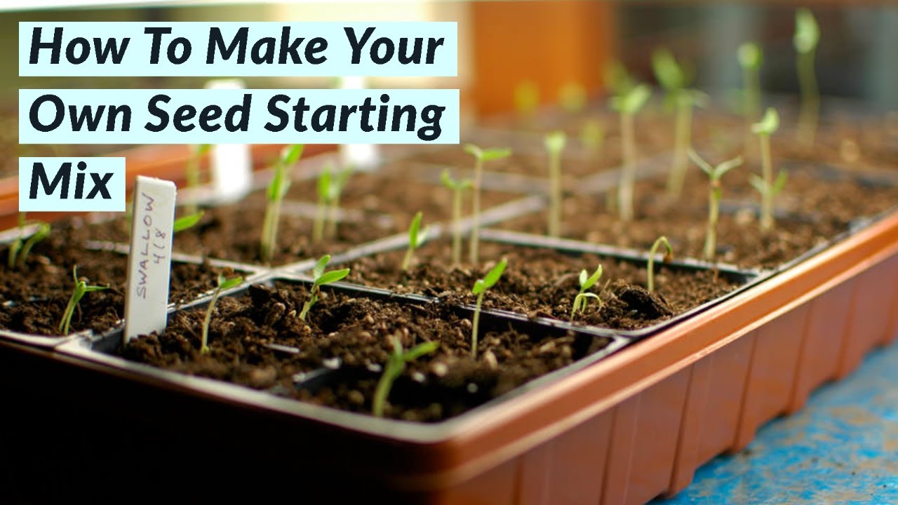 How To Make Your Own Seed Starting Mix