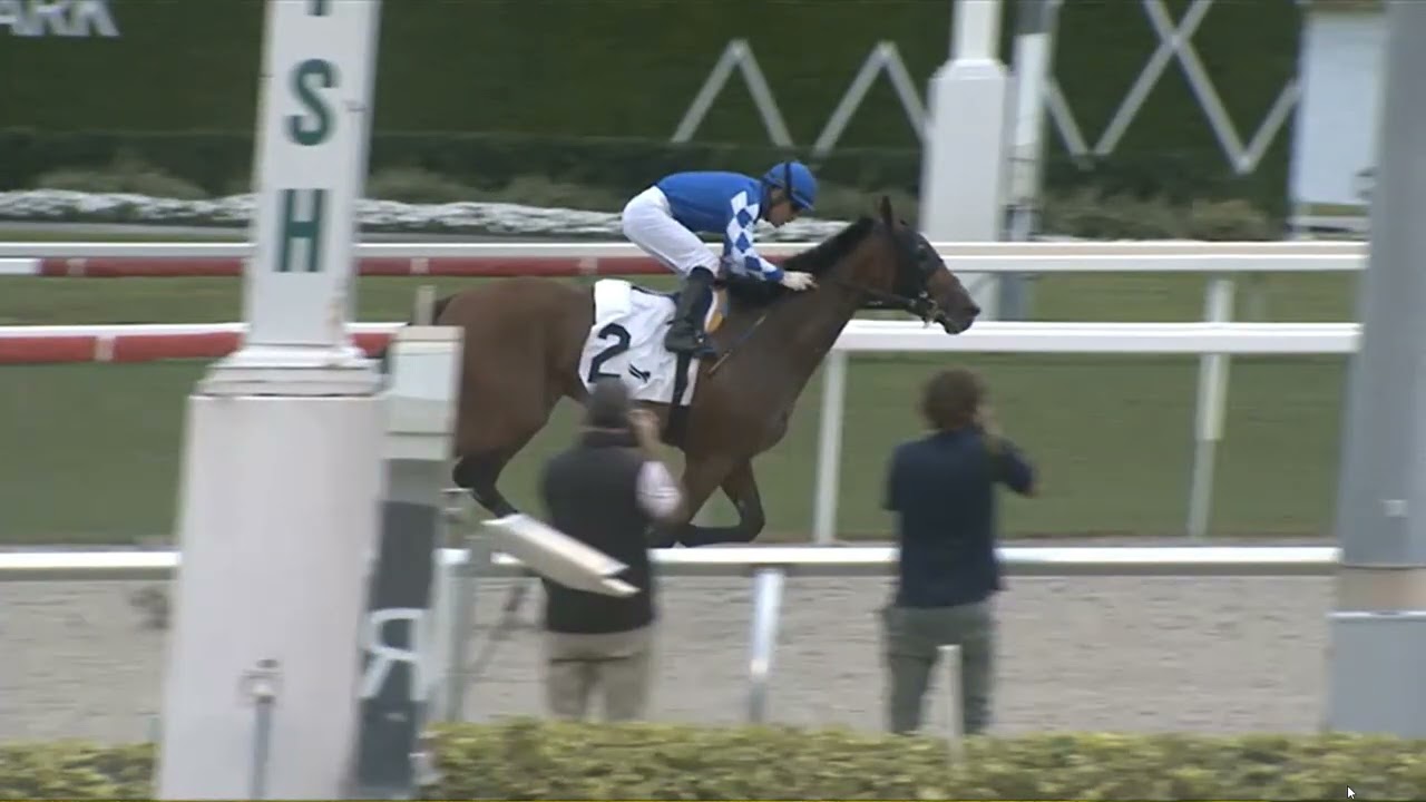 RACE 1 GULFSTREAM PARK USA 22 JAN 2026