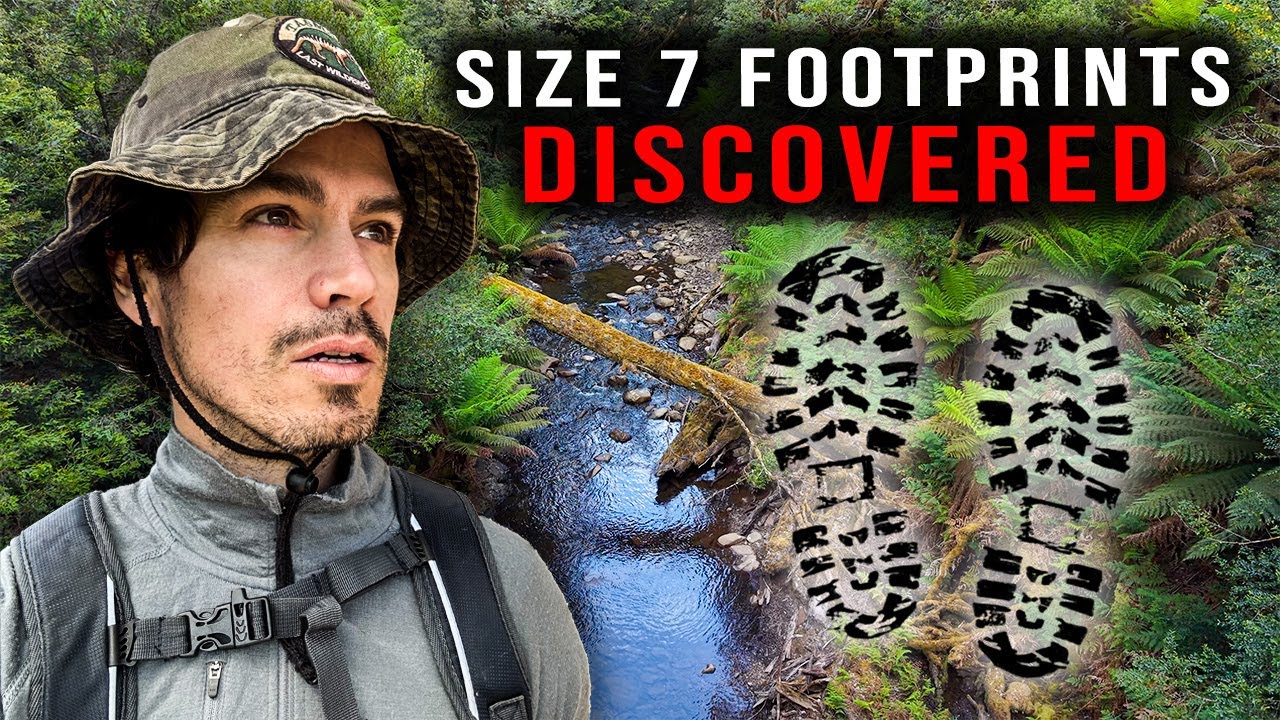 Following the Footprints — The Search for Céline Cremer