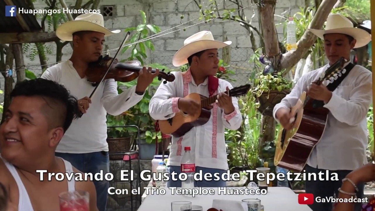 Trovando el Gusto con Temple Huasteco, Palomitas Serranas, Caimanes del Río Tuxpan y Flor de Madera