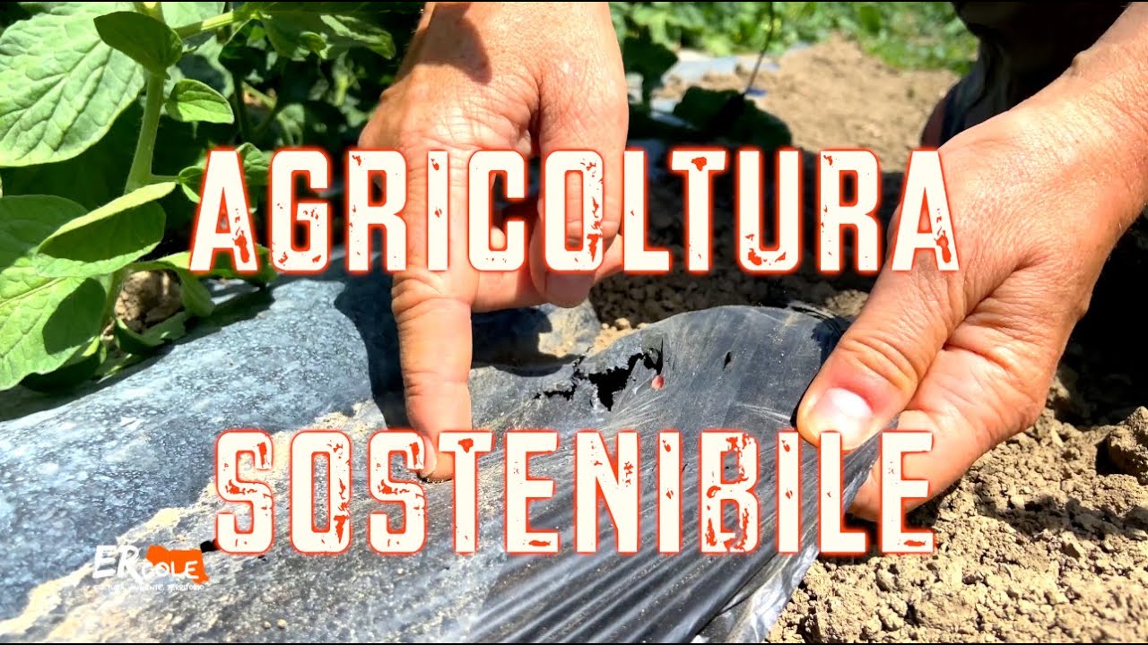 Sostenibilità in agricoltura: conosciamo la pacciamatura biodegradabile