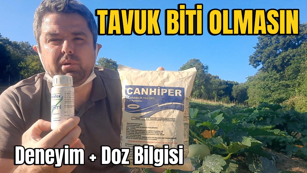 Tavuk Biti Olmasın! 🐔 Parafox ve Canhiper Önleyici Kullanımı | Deneyim + Doz Bilgisi