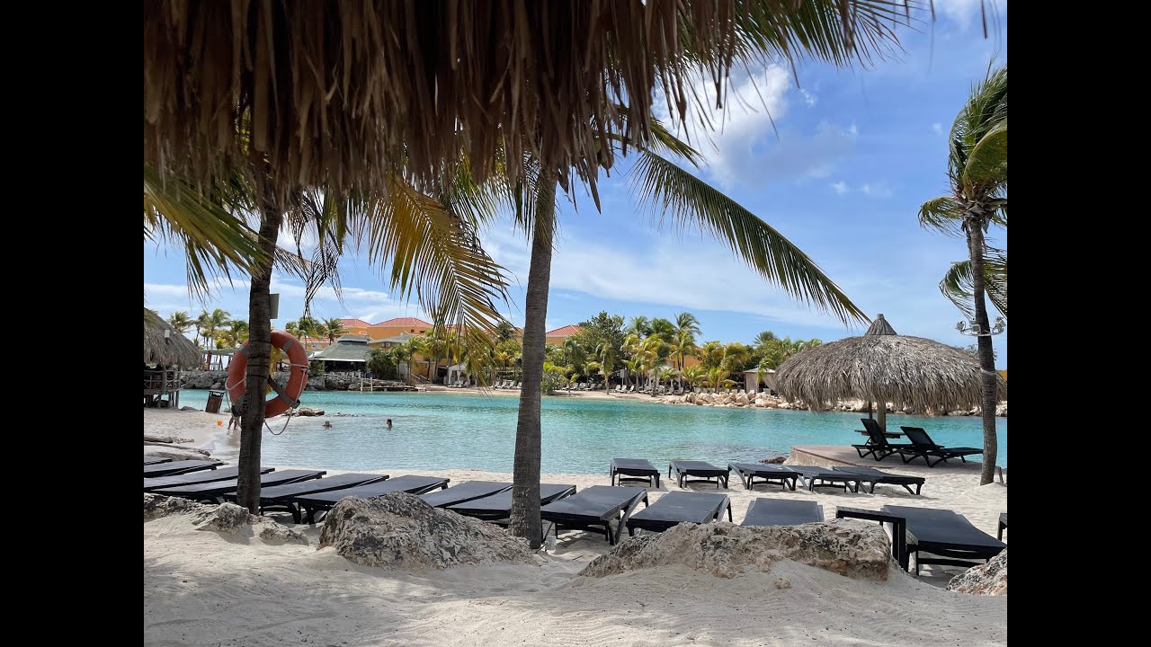 Curacao 2025 Lions Dive Beach Resort Mambo Beach