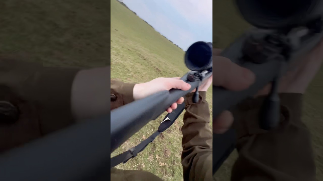 Red Fox hunt with the PARD Nightstalker 4K