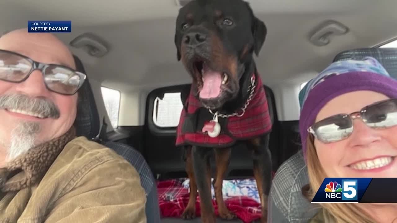 Dog found abandoned at home in Vermont thriving with new family in northern New York