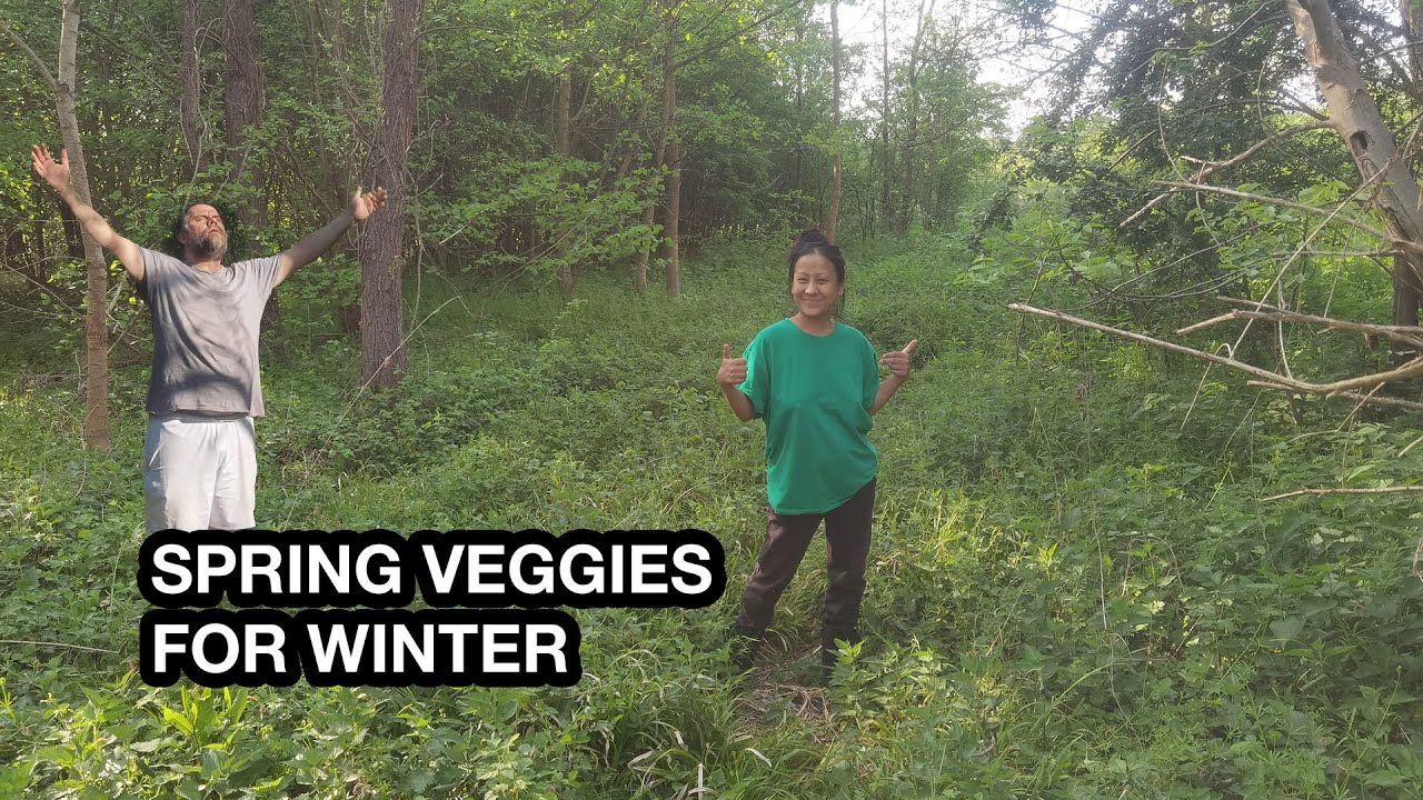 PICKING SPRING VEGGIES FOR WINTER/FORAGING WILD VEGGIES FOR WINTER/SERBIA VLOG/TANGKHUL VLOG