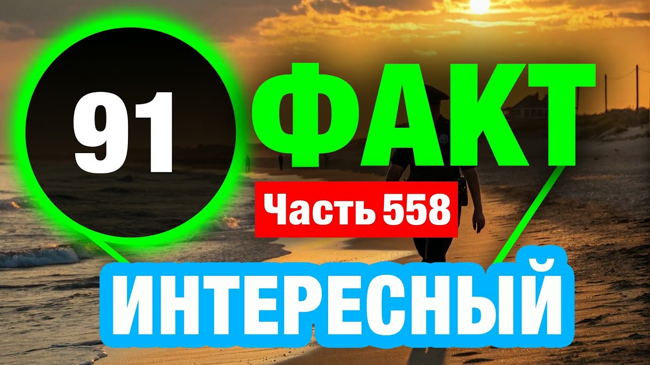 91 Необычный Факт